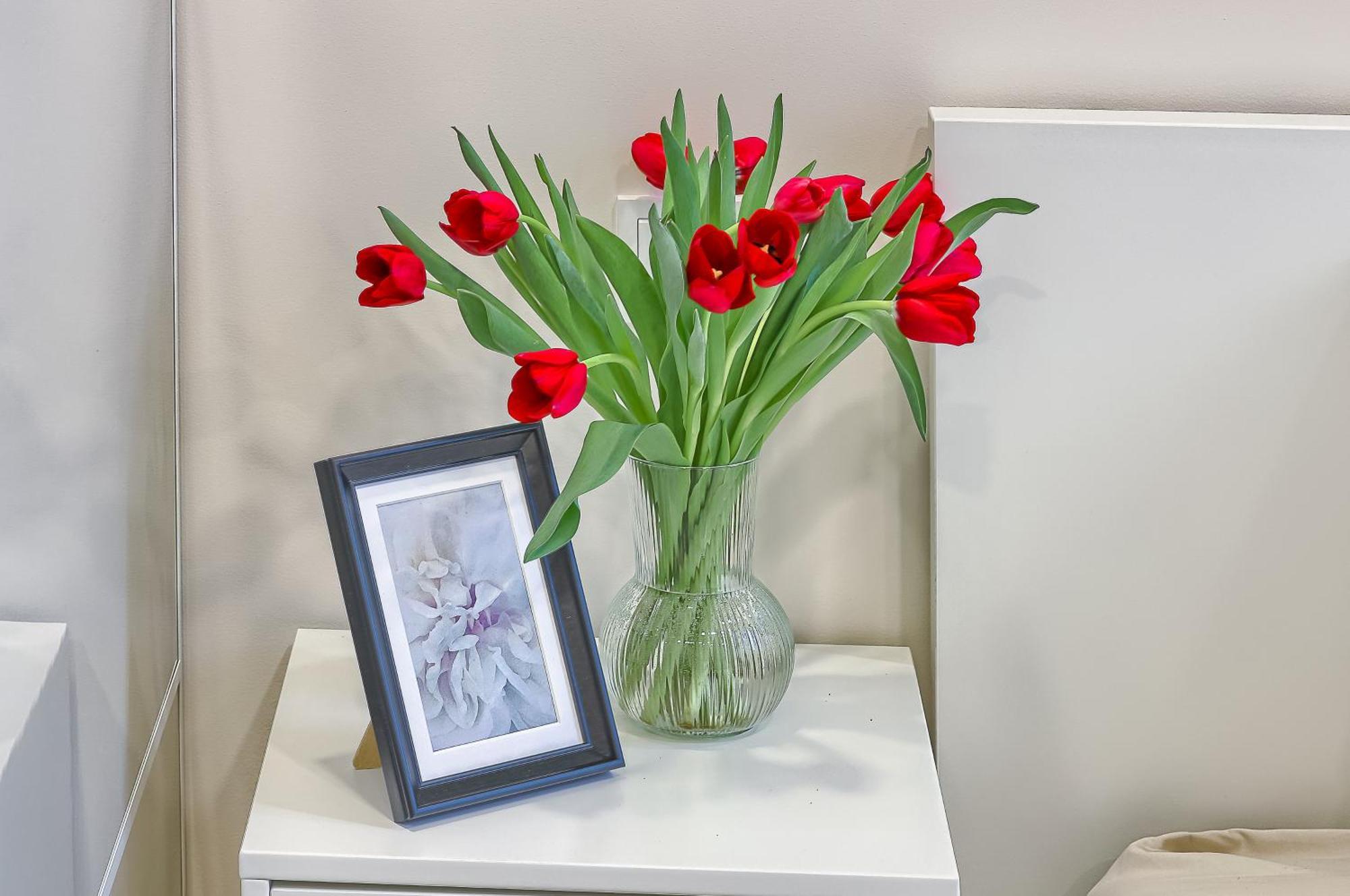 Business-Class Apartments 1 X Free Parking X Self Check In 24X7 VNO Extérieur photo